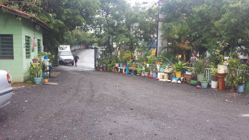 Na imagem foi fotografada a entrada do ECOPONTO, com muitas árvores, plantas e vasos coloridos. 